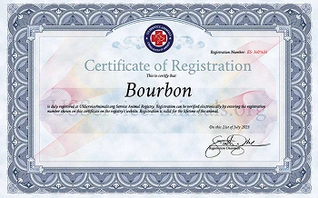 Bourbon's Certificate